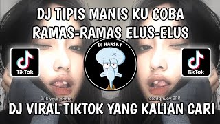 DJ TIPIS MANIS KUCOBA RAMAS RAMAS ELUS ELUS  DJ KUTUKAN MANTAN  DJ VIRAL TIKTOK TERBARU 2024 [upl. by Cheung]