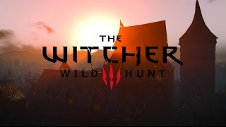 Witcher 3  Death March  How to Beat Imlerith Easy [upl. by Vinia148]