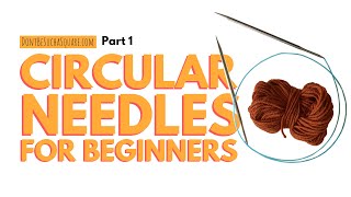 Circular Knitting Needles for Beginners part 1 How to do the Long Tail Cast On [upl. by Aivitnahs]