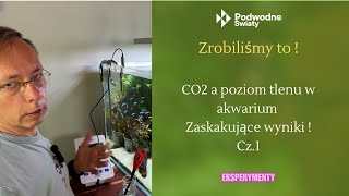 Eksperyment Zbadaliśmy to  CO2 a poziom tlenu w akwarium Zaskakujące wyniki  Cz1 [upl. by Eendyc261]