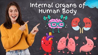 Internal Organs  Human Body Organs Location and Function  Science for Kids [upl. by Dnalyag215]