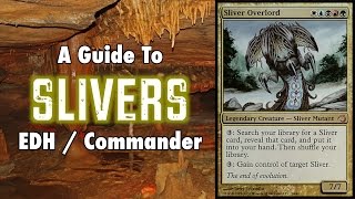 MTG  A Study In Slivers  A Guide To EDH  Commander Sliver Decks in Magic The Gathering [upl. by Annasus]