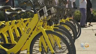 Dockless Bike Sharing Program Being Considered In Philadelphia [upl. by Kotz]