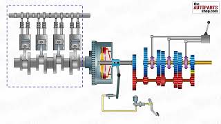 AMT CH2 Manual Transmission  working [upl. by Bertilla]