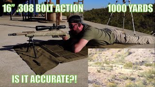 Is a 16quot 308 Win Accurate  1000 Yards pt 1 168gr Sierra MatchKing [upl. by Mell]