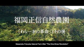 「わら一本の革命」とその後 福岡正信自然農園 After The One Straw Revolution Masanobu Fukuoka Natural Farm [upl. by Wengert]