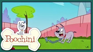 Poochini  Episode 18  Doggie Day Afternoon [upl. by Anastasius738]