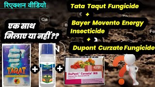 Tata Taqut Fungicide  Bayer Movento Energy insecticide  Dupont Curzate Experiment Video [upl. by Sukul]