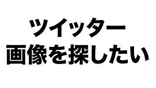 【ツイッター】画像を探したい時の検索方法 [upl. by Raclima291]