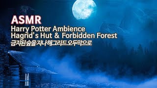 ASMR 금지된 숲을 지나 해그리드의 오두막으로●공부할 때 듣는 해리 포터 분위기 입체음향  Hagrids Hut amp Forbidden Forest Study Ambience [upl. by Hanforrd]