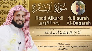 سورة البقرة كاملة للقارئ رعد الكردي  full surah Al Baqara ـRaad Alkurdi [upl. by Nitsew]