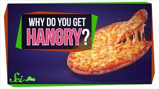 Why Do You Get Hangry [upl. by Christa564]