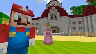 Minecraft Wii U  Super Mario Series  Bowser Attacks 1 [upl. by Salene]