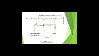 Nitrogen Cycle Shorts  Ecosystem  Environment [upl. by Etnohs]