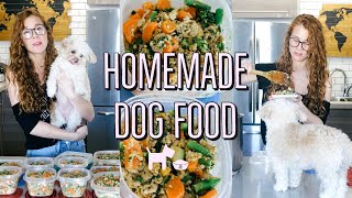 HOMEMADE  HEALTHY DOG FOOD RECIPE  COOKING FOR YOUR DOG🐶 [upl. by Obelia771]