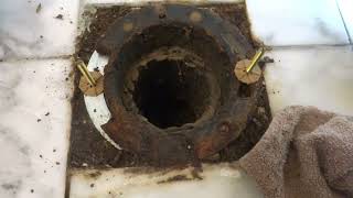 How To Fix a Broken Toilet Flange [upl. by Apple]