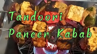 Tandoori Paneer kebab at home easy making video food recipe likeandsubscribe Ammas channel [upl. by Glenn920]