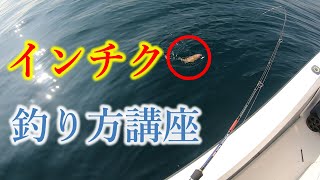 インチク初心者がウンチク先生に聞く！インチクの使い方・釣り方講座で魚をゲット！ 島根県出雲沖 遊漁船 小づちや 2020年 6月28日釣行 [upl. by Ahsielat]