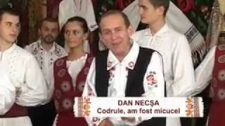 Dan Necsa  Codrule  am fost micucel [upl. by Adyl]