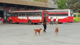 MSRTCs Kurla Nehru Nagar bus Depot Covarage  MSRTC Buses Maharashtra [upl. by Nosyaj]