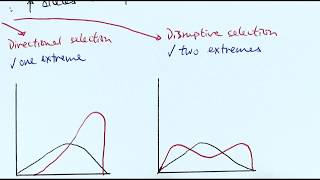 A2 Biology  Factors affecting evolution OCR A Chapter 205 [upl. by Aleahpar]