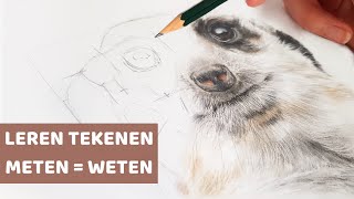 Tekenen voor beginners DE MEETMETHODE stap voor stap tutorial [upl. by Longwood902]