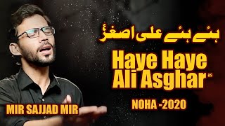 HAYE HAYE ALI ASGHAR  Mir Sajjad Mir  Mola Ali Asghar Noha [upl. by Palladin]