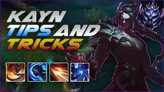 3 Minute Kayn Guide  A Guide for League of Legends [upl. by Connolly]