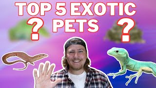 Top 5 Exotics Pets For Moderate Level Keepers [upl. by Krystyna497]