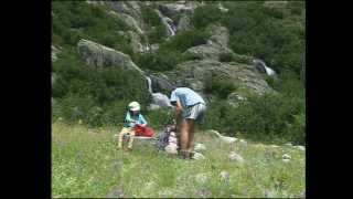 Camille à la montagne  Documentaire animalier ludoéducatif [upl. by Mick623]