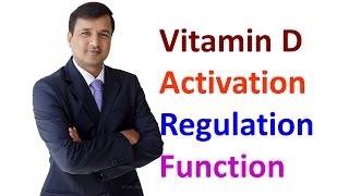 Vitamin D  Activation Regulation and Function [upl. by Aneerak449]