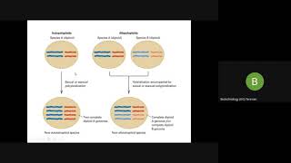 PLOIDY euploidy Aneupolyploid allopolyploid [upl. by Anileuqcaj188]