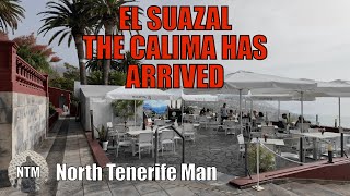 TENERIFE EL SAUZAL THE CALIMA HAS ARRIVED [upl. by Mungo497]