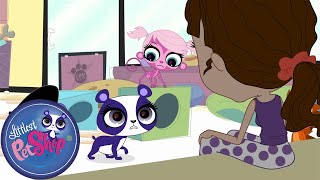 Littlest Pet Shop  What’s in the Batter  Season 1  Pet Cartoon [upl. by Adym419]