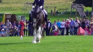 Dressage to music at North Wales Shire Open Day [upl. by Otanod]