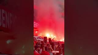 E o Benfica É CAMPEAO 🔥🔥 [upl. by Sellers829]