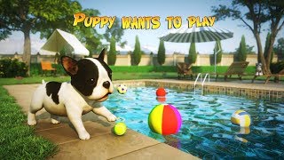 Dog Simulator Puppy Craft  android gameplay [upl. by Hardi]