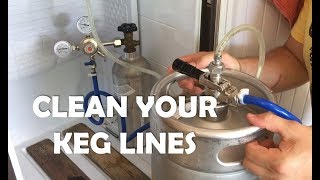 How to clean your kegerator beer lines  DO IT [upl. by Ogram]