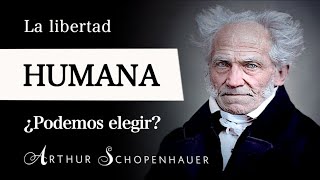 ¿ERES LIBRE Arthur Schopenhauer  Filosofía del LIBRE ALBEDRÍO y la VOLUNTAD HUMANA Parte I [upl. by Aramas]