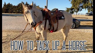 How to Tack up a Horse Western [upl. by Ametaf934]