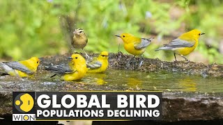 Climate change affecting the timing of Bird migrations  WION Climate Tracker  WION [upl. by Nakhsa]