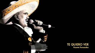 Vicente Fernandez  Te Quiero Ver [upl. by Vod]