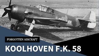 The Koolhoven FK58 A Dutch Fighter Used by Poles Fighting for the French OO [upl. by Ransome]