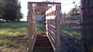 Small Livestock Working Chute From PALLETS [upl. by Nohtiek]