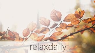 relaxdaily  N°013 official video  Season 1 Album Version [upl. by Ahsiloc351]