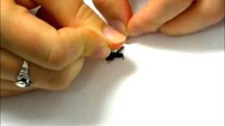 How to Make an Insect Collection Part 7 of 11 Pinning [upl. by Llerrat]