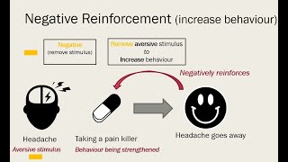 Negative Reinforcement vs Punishment [upl. by Brandais]