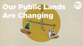 How the BLM is Rethinking Land Use [upl. by Terriss]