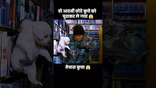 इस प्यारे से कुत्ते के बच्चे को उस आदमी ने चुरा लिया 😱  short anime cartoon dog [upl. by Zelde]