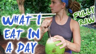 What I Eat In A Day  FULLY RAW [upl. by Ilojna]